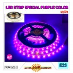 LED Strip Brilux SMD 2835 Mata Kecil | IP 20 - Indoor - Purple / Ungu / Pink
